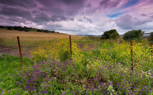 509860 (a): :2560x1600